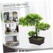 TOPBATHY Welcome Song Japanese Pine Bonsai Home Desk Fake Pine Fake Bonsai Fake Tree Pot Ornaments Guest-greeting Pine Bonsai Decor Plant Office Fake Pine Plastic Desktop Potted Tree As Shown 2 33X26CM - Buy Online on GoSupps.com