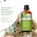 PHATOIL Vetiver Essential Oil 30ML - Premium Grade Pure Oil for Diffusers, Aromatherapy, and Candle Making - Buy Online on GoSupps.com