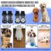 Eyein 3 Pairs Double-Sided Anti-Slip Dog Socks - Soft Pfot Protection with Adjustable Velcro for Hardwood Floors - Black S Size - Buy Online on GoSupps.com