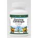 Garcinia Cambogia 4:1 Extract Powder (1 oz ZIN: 510692)