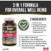Herba Policosanol 20mg with Plant Sterols and Fenugreek - 120 Vegetable Capsules | Cholesterol Supplement to Lowering and Supporting Healthy Cholesterol Levels and Heart Health | Made in Canada - Buy Online on GoSupps.com