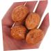 Cabilock 40 Pcs Decor Birthday Present Dried Fruit As Shownx2pcs mediumx2pcs - Buy Online on GoSupps.com