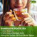 Lavendium Premium 120g Natural Dandelion Root 100% Natural & Pure from Dandelion Root Dandelion Herbal Tea No Additives No Caffeine Vegan - Buy Online on GoSupps.com