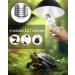 Tobebright 13W UVB Lamp 5.0 - Optimal Compact Fluorescent Lamp for Reptiles Aquariums & Terrariums | E27 AC220-240V - Buy Online on GoSupps.com