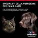SPECIFIC Canine Adult CID-LF Digestive Support Low Fat 2 kg - Buy Online on GoSupps.com