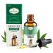 100000mg High-Potency Oil for Joint Health Restful Sleep Stress & Anxiety Relief | Omega 3-6-9 Enriched Vegan-Friendly Formula | Natural Support in a 30ml Bottle (1 Bottle)