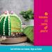 Decocino Green Color Paste (20g) - Azo-Free Gluten-Free Food Coloring for Cakes Fondant & Creams - Buy Online on GoSupps.com