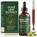 Olive Leaf Extract Liquid Drops With Oleuropein & Hydroxytyrosol Immune Support Supplement for Daily Wellness Antioxidant Support Non-GMO Vegan Alcohol-Free High-Concentration Formula 2 Fl Oz