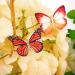 DEEKA 16 PCS Small Handmade Butterfly Hair Clips - Realistic Colorful 90s Barrettes for Women and Girls - Yellow & Orange - Buy Online on GoSupps.com