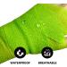 FriCARE Nonwoven Self-Adhesive Bandage 2 Inches Wide - 6 Count Rainbow Pack - Buy Online on GoSupps.com
