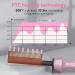 Dan Technology 500 High Heat Hot Comb Hair Straightener - Pink Dual Voltage Adjustable Temperature Electric Straightening Comb for Wigs - Professional Pressing Comb for African American Hair - Buy Online on GoSupps.com