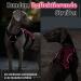 Rabbitgoo Break-Proof Dog Harness for Medium Dogs - Adjustable Breathable Padded Vest with Handle - Anti-Pull Safety Pink (1 Pack) - Buy Online on GoSupps.com