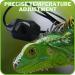 Finest-Filters Reptile Heating Mat Under Tank Terrarium Reptile Heat Pad with Temperature Control Adjustable Reptile Heat Mat for Lizard Turtle Tortoise Snake Gecko etc (30w (20" x 12")) - Buy Online on GoSupps.com