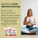 Nutridom Siberian Eleuthero Ginseng 500mg Non-GMO Vegan Gluten-free Soy-free Dairy-free No Additives & No Fillers (120 Veggie capsules) - Buy Online on GoSupps.com