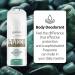 ABOVE White Series Jade Body Spray - Long-Lasting Paraben-Free Deodorant Spray (2.12 oz) - Masks Odors & Cruelty-Free - International Shipping Available - Buy Online on GoSupps.com