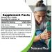 Nature's Plus Iron 40mg - 90 Tablets | High Potency Iron Supplement - Buy Online on GoSupps.com