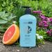 Ultra Healing Hemp Body Lotion - Daily Moisturizer with Hemp Seed Oil Shea Butter & Jojoba Oil - Floral Citrus Scent - 17 fl. oz - Made in USA - Buy Online on GoSupps.com