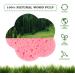 Face Scrubber Pads | Face Cleansing Pads for Women Gentle Makeup Removal Pads Skin-Friendly Soft Facial Cleansing Sponges With Flower Shape for Daily Life - Buy Online on GoSupps.com