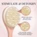 Vegan Dry Brushing Body Brush and Back Scrubber Set for Radiant Skin by Lily England - Buy Online on GoSupps.com