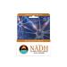 Source Naturals NADH 20 mg 30 Sublingual Tablets