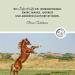 Annimally Eczema Cream Plus 500ml - Relief for Horses' Eczema Rash Mauke & Itching with D-Panthenol & Chamomile Oil - Buy Online on GoSupps.com