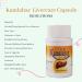 Kamalahar Capsules - Ayurvedic Liver Support & Detox - 100 Capsules x 6 Packs (300 Servings) - Buy Online on GoSupps.com