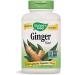 Nature's Way Ginger Root 1100 mg - 180 Vegan Capsules for Digestive Health - Buy Online on GoSupps.com