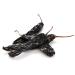 Chile Pasilla Pepper (Pasilla Negro) // Weights: 57 GR 170 GR 340 GR 510 GR 822 GR (510 GR)