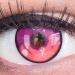 Meralens colored contact lenses anime arc 3 Violet Crazy Fun purple annual lenses 1 pair with free lentil container - top quality for carnival carnival Halloween Cosplay 2023 0.0 diopters 8.6 millimeters 14.00 millimeter 2.0