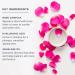 Heritage Store Rosewater Facial Cleanser | pH Balanced Milk Wash for Dry to Combination Skin | Purifying & Nourishing with Squalane & Rose Complex | Vegan & Cruelty-Free | 4oz - Buy Online on GoSupps.com