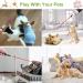 3 PCS Long Range Dot Clicker Toy Pen for Indoor Interactive Teaching - Green Red Violet | Cat Puppy Kitten Lazer Toy | Bright Clicker for Dog Cat Training Exercise - Buy Online on GoSupps.com