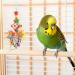 AKlamater 3 Pack Bird Budgies Shredding Toys Bird Parrots Chewing Toys Parrot Cage Foraging Shredder Toys Bird Cage Accessories for Small Parakeets Cockatiels Budgies Love Birds Finches - Buy Online on GoSupps.com