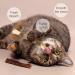 Dacitiery Cat Silvervine Chew Sticks Cat Toys Natural Cat Teeth Nip Cleaning Teeth Chew Catnip Toys for Indoor Cat Teeth Cleaning Kitten Teething and Stress Release (3 Style 6 Pack) - Buy Online on GoSupps.com