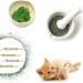 Organic Catnip Sticks Set - 3 Pieces for Dental Care & Chewing Toys | Cat Dental Health Products - Buy Online on GoSupps.com