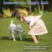 Indestructible Loud Dog Balls | Interactive Dog Toys | Divinggoe Green 3.46 Inch - Buy Online on GoSupps.com