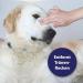 Canosept Eye Care Finger Pads for Dogs - Tear Stain Remover & Eye Cleaner with Aloe Vera - 300 Gentle Care Pads - Buy Online on GoSupps.com