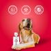 Stratford Keto-C Pet Wipes XL for Dogs & Cats 60ct - Chlorhexidine & Ketoconazole for Itch Relief, Hot Spots & Ringworm - Cucumber Melon Scent - Buy Online on GoSupps.com