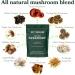 Betterbrand BetterMushrooms Mushroom Gummies for Gut Health, Metabolism, Energy & Focus - Lion's Mane, Cordyceps, Chaga & Maitake - Immune Support (1 Bottle) - Buy Online on GoSupps.com