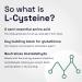 Not Drugs Proactive Hangover Support That Actually Works | Effective Affordable & Backed by Science | 30 Capsules | 30 Doses | L-Cysteine Vitamin B6 Vitamin C - Buy Online on GoSupps.com