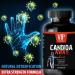 VIP VITAMINS Candida Enzymes - Candida Away - Combat Candida - 3 Bottles, 180 Capsules - Buy Online on GoSupps.com