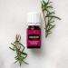 Young Living Purification Essential Oil Blend - 5 ml - 6 Unique Oils Formula - Buy Online on GoSupps.com