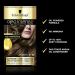 Schwarzkopf Oleo Intense Blonde Hair Dye Permanent Oil Colour No Ammonia Covers Greys 5-10 Light Brown - Buy Online on GoSupps.com