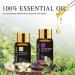 MAYJAM 28Pcs Essential Oil Gift Set for Diffusers, Skin Care, Massage - 24 x 5ml Pure Oils and 4 x 10ml Blends - Perfect Gift for Friend - Buy Online on GoSupps.com