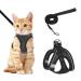Lollanda cat dishes with leash adjustable soft kitten vest with reflective strip super little kitten cat dishes (xs black) XS black