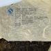 Pu-erh tea 2006 Yiwu Zhengshan 357g Raw - Buy Online on GoSupps.com