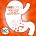 Align DualBiotic Prebiotic + Probiotic 90 Gummies - Digestive Support for Women and Men - Natural Fruit Flavors - Buy Online on GoSupps.com