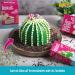 Decocino Edible Roses - Lila & Rosa | 16 Pieces for Wedding & Birthday Cake Decorations | Perfect for Cupcakes & Muffins - Buy Online on GoSupps.com