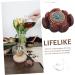 Buy Solustrie Hand Exercise Plate | Tibetan Buddhist Pearls & Wood Carvings for Massage & Relaxation - Buy Online on GoSupps.com