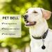 Molain 10Pcs Colorful Pet Collar Bells - Jingle Bell for Cats and Dogs - DIY Crafts Decoration - Buy Online on GoSupps.com