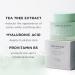 The Face Shop Tea Tree Pore Cream - Pore Minimizer & Hydrating Moisturizer | AHA BHA PHA | Soothing Korean Skin Care with Hyaluronic Acid & Cica - Buy Online on GoSupps.com